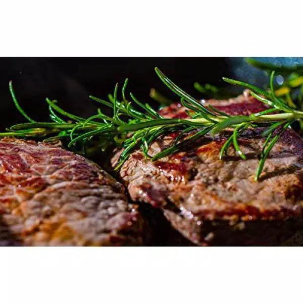 Cheap π Boyel Living Nonstick Electric Skillet, Cool-TouchElectric, 1700-Watts, (Copper) π₯ - Image 5