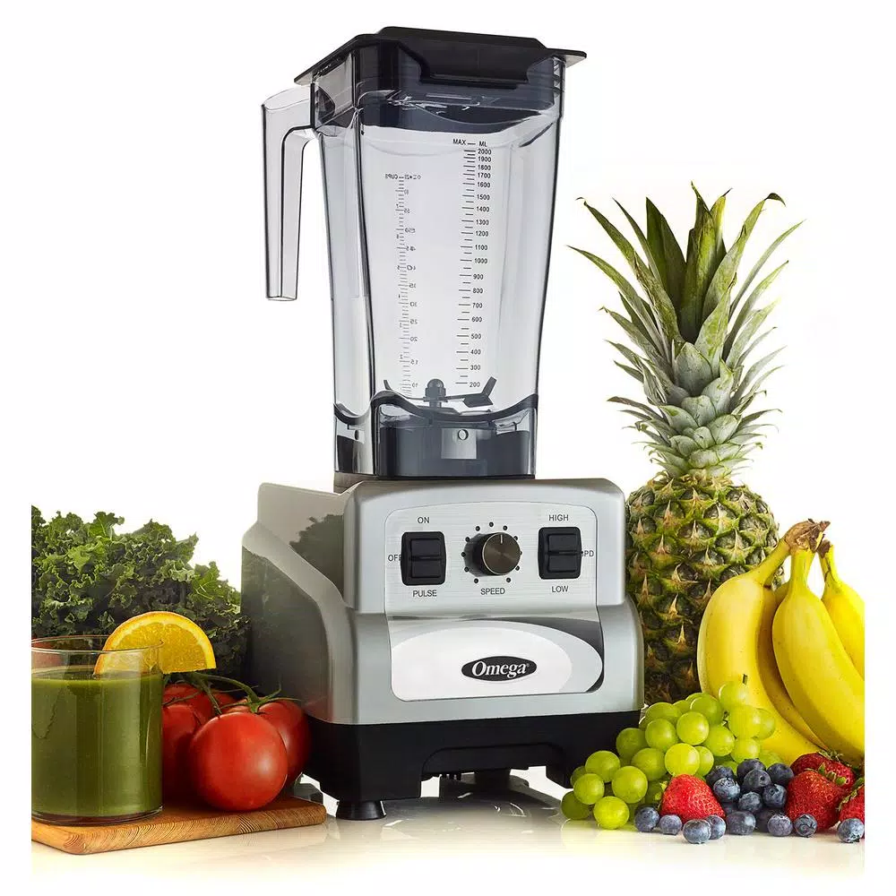 Buy β¨ Omega 3 HP 64 Oz. Variable 10-Speed Silver Blender With Container β€οΈ - Image 6